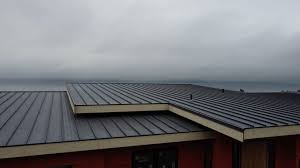 Best Roof Leak Repair  in Santa Paula, CA